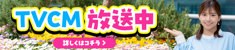 テレビCMも放送中！厳選週替わりイチオシ特集のページはこちら