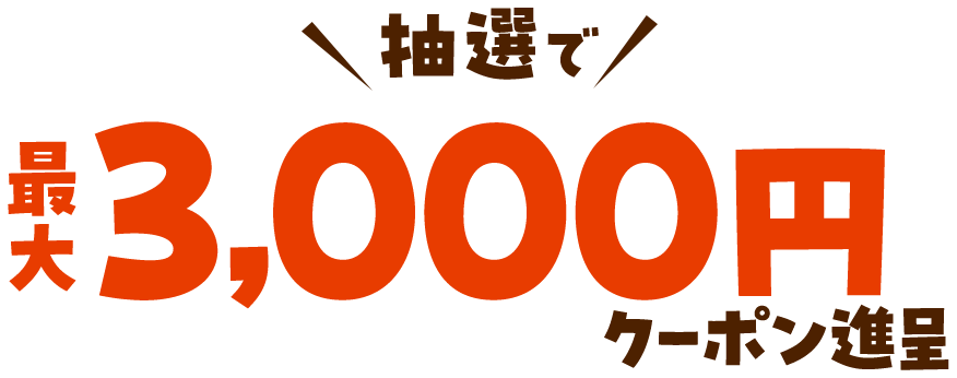 抽選で最大全額3,000円クーポン進呈キャンペーン実施中!