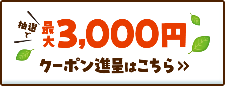 抽選で最大3,000円クーポン進呈はこちら